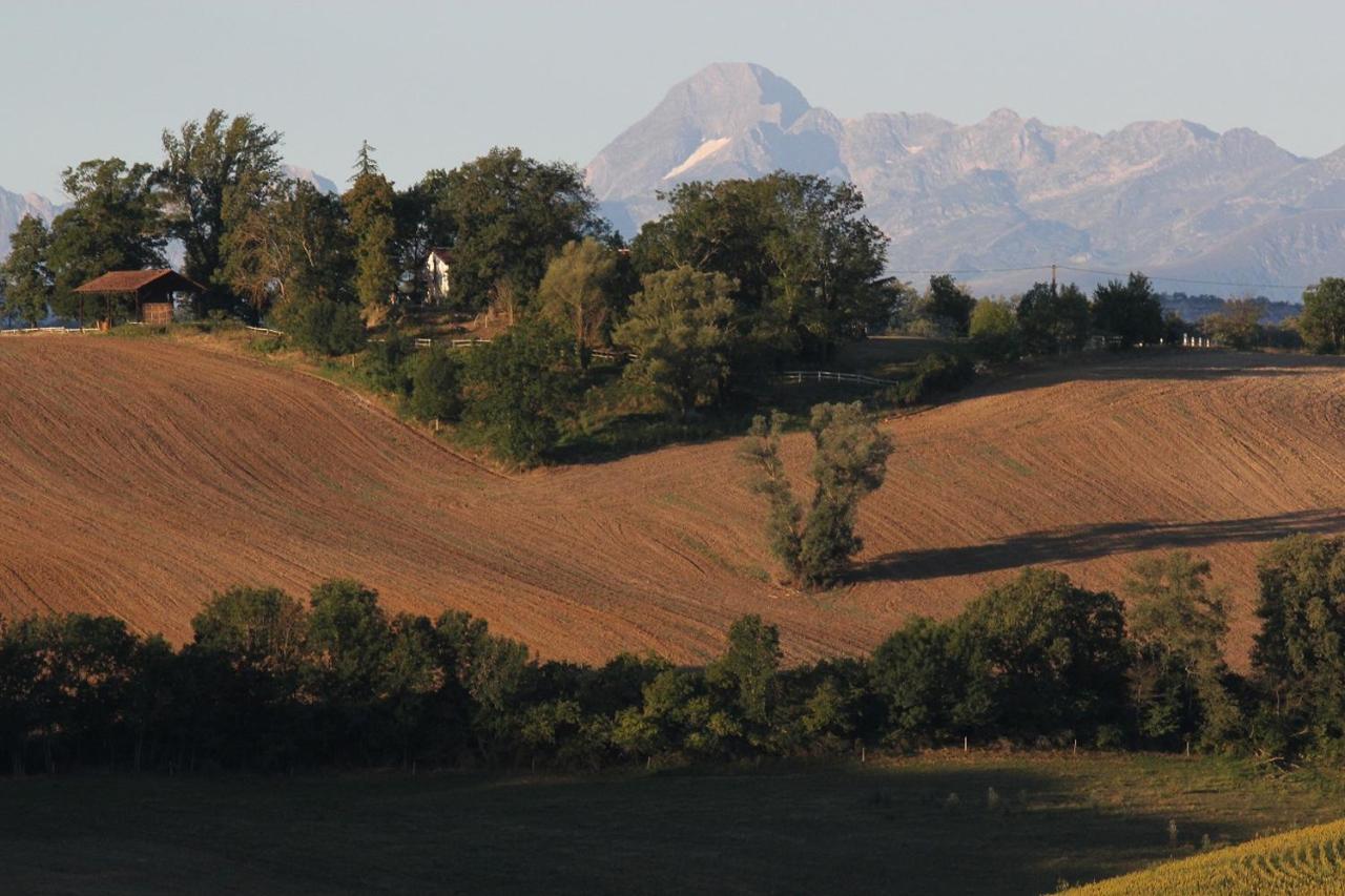 Gite Les Hauts Du Lac Carla-Bayle Екстер'єр фото